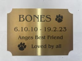 Fe9zlowcv4app3y6kgxr