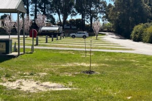 FANTASTIC SOUTH WEST CARAVAN PARK