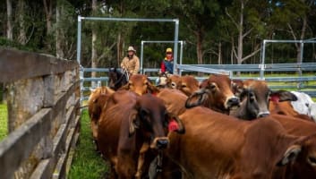 Agriculture, Recreation and Luxe Accommodation Development Opportunity