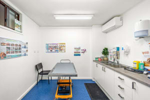 Longstanding Small Animal Veterinary Practice with Loyal Clientele & Modern Facilities