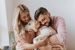 Online Pet Product Wholesaler/Distributor and Supplier #438