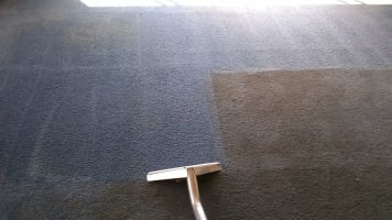 Established Carpet Cleaning Business with 37+ Year History | Loyal Client Base