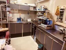 Fitqsqy4x3gbqejavees