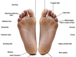 Thriving Allied Health Clinic in Podiatry  Established Client Base & Growth Potential