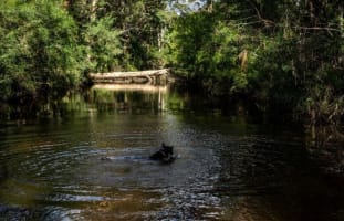 Agriculture, Recreation and Luxe Accommodation Development Opportunity