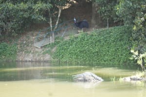 The closest Wet Tropics World Heritage river-based experience to Cairns