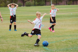 Niche Market Sports Product, Apparel and Equipment Outlet and National Online Webstore #411