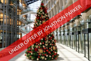 UNDER OFFER - CHRISTMAS DECORATION RENTAL BUSINESS