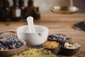 Own a Profitable Wellness Business Changing Lives