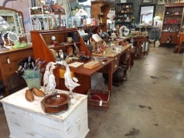 Antique & Vintage Store in Samford - 12 Years of Success