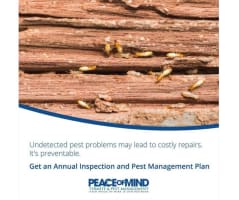 Established Termite & Pest Management Business Flexible, Mobile Operation. WIWO