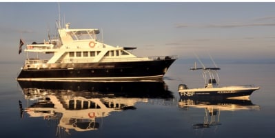 Sports Fishing Charter Business - Far North Queensland (DWBL1477)