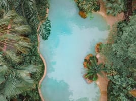 TRANQUIL LODGE IN THE REMOTE CAPE TRIBULATION READY FOR THE NEXT PHASE OF GROWTH - 2822MF