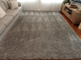 URGENT SALE- Profitable Owner-Operator Carpet Cleaning Business Growth Potential