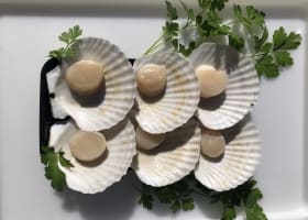 Established Mobile Seafood Retail Business – Three Turnkey Outlets Included