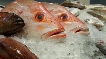 Fvoj3amzfuwphoeduvq0