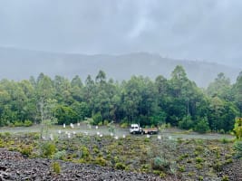 Asset-Based Small Scale Commercial Beekeeping Opportunity for Sale