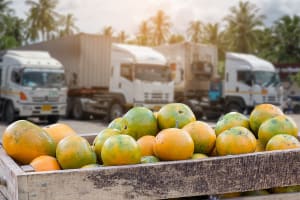 Premium Fresh Produce Wholesale & Retail – Two Distinct Businesses for Sale