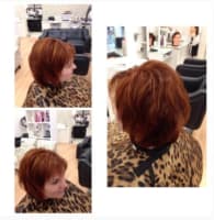 'Sal Cheveux' Hair Salon, BARGAIN PRICE  - Owner Moving interstate, BE QUICK!