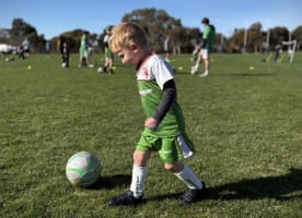 Grasshopper Soccer - Established Business