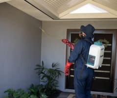 SURE Pest Control Franchises – Perth, WA