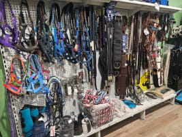 Business for Sale: Thriving Rural Retail Store.