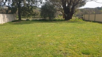 Tooborac Cafe and Post Office (SP2302)