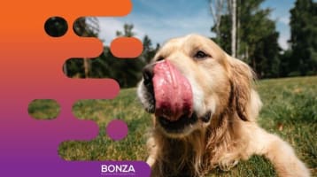 36479 Established Pet Food Manufacturing Business - Growing Market