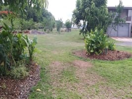 SPECIALTY GROCERY STORE ESTABLISHED IN 1969