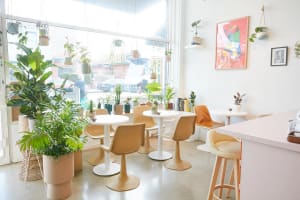 Gi18huemvdglbdmrrxbo