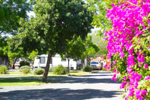 LEASEHOLD - BIG 4 Cabin Park Hay, NSW - 1P0183