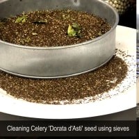 HERITAGE SEED BANK and OPEN GARDEN