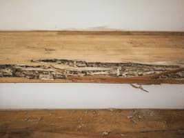 Building Inspection and Lead Generation Business – Canberra, ACT