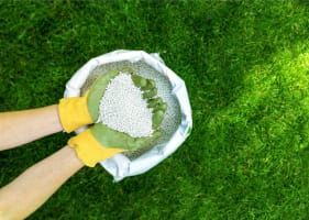 JUST LISTED! Established Lawn, Garden & Landscaping Business