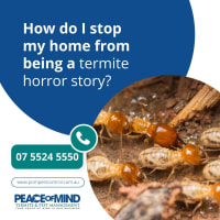 Established Termite & Pest Management Business Flexible, Mobile Operation. WIWO