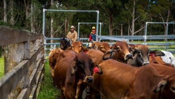 Agriculture, Recreation and Luxe Accommodation Development Opportunity