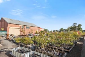 Multiflora Nursery - Colac (IWR2646)