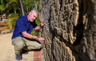 SURE Building Inspections Franchises – Sydney, NSW