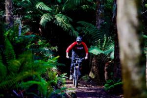 World-Class Destination | Rare Opportunity I Reputable Brand