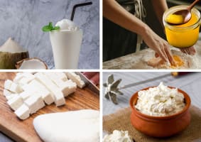 Dairy Manufacturing Facility - Share Sale, Strategic Investment or Full Acquisition | Victoria