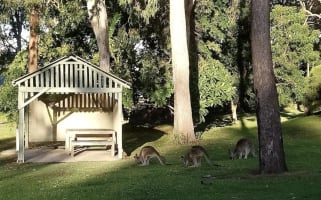 Caravan Park (Freehold) on the Fraser Coast