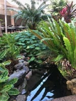 Cairns Courtyard Cafe