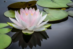 Skin & Beauty Clinic in Brisbane