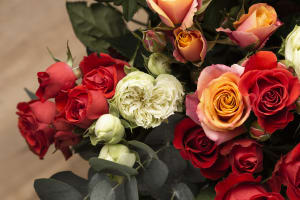 Established and Highly Regarded Retail Florist – Northern Suburbs, VIC