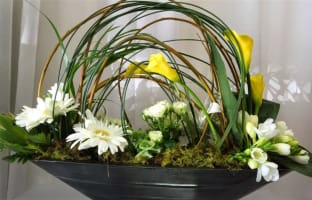 FLORIST  GIFTS  PLANTS & POTS - ONLY ONE IN BEACONSFIELD -
