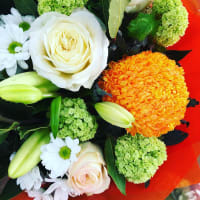 Oakleighs Iconic Florist Nursery Business for Sale SV1585