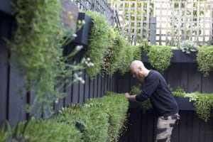 High-Margin Plant Service Business