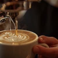 Coming Soon - Premium Cafe Opportunity | Freo Coast WA