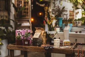 Boutique Plant / Garden Nursery & Giftware Store  Creative Lifestyle Business | Sydney