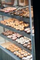 FLOURBOY GEELONG FOR SALE - $140,000 + SAV